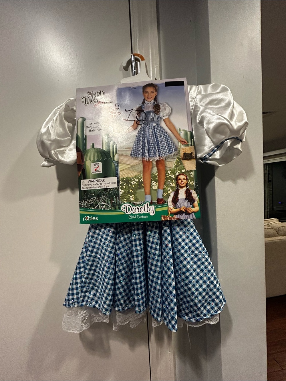 Rubie's Blue and White Gingham Dorothy Costume